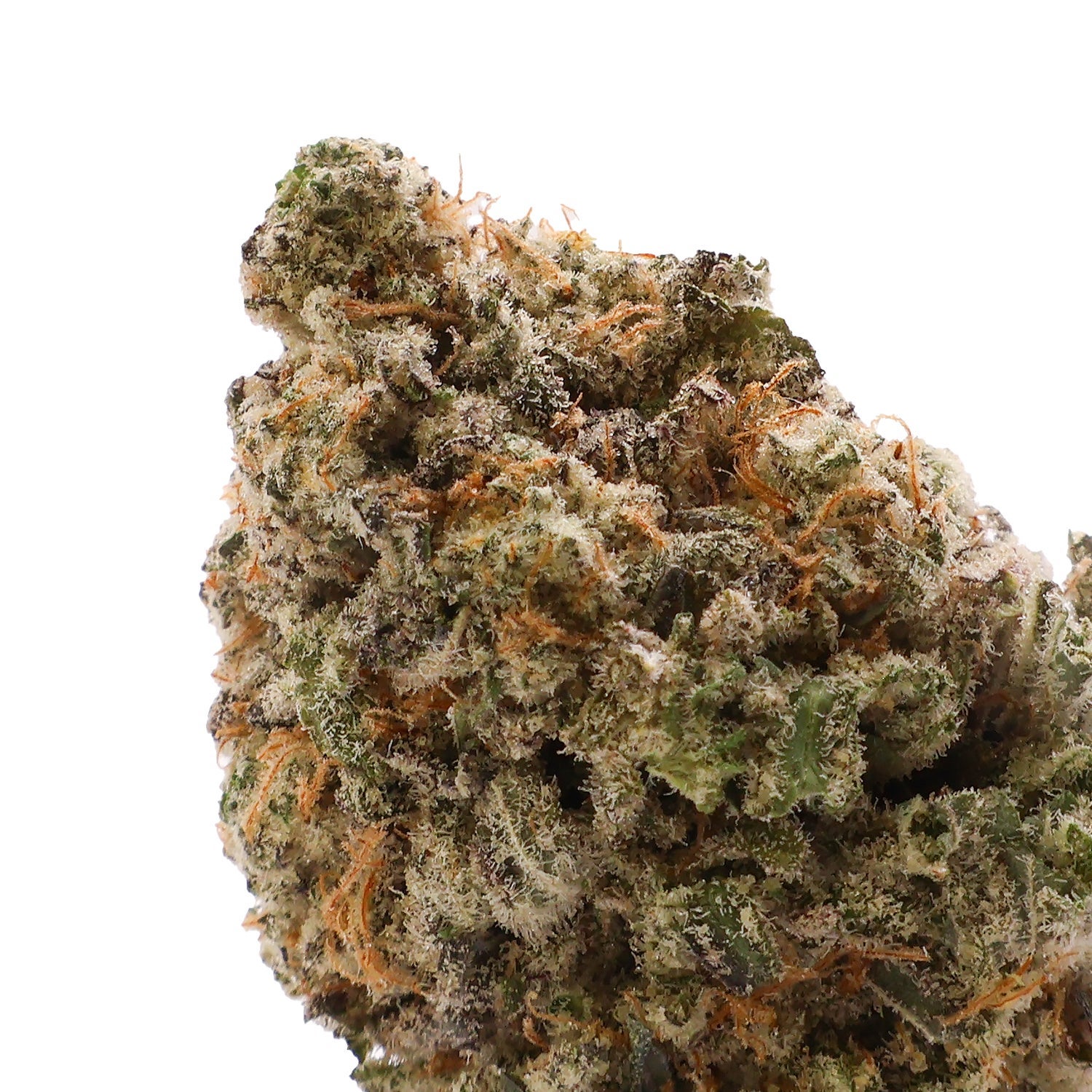 DollarTreez-Sugar-Cookies-04