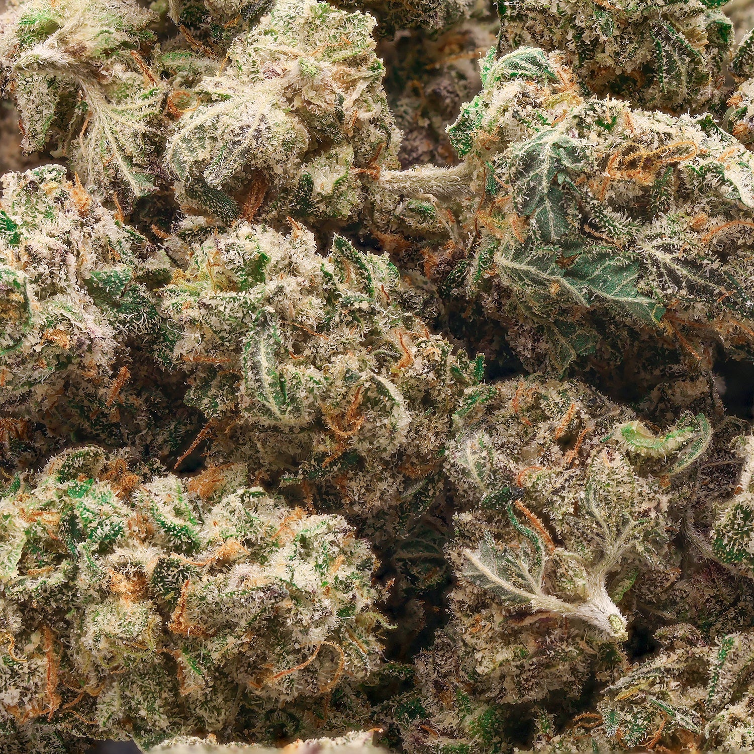 LuckyFarms-Candy-Store-02