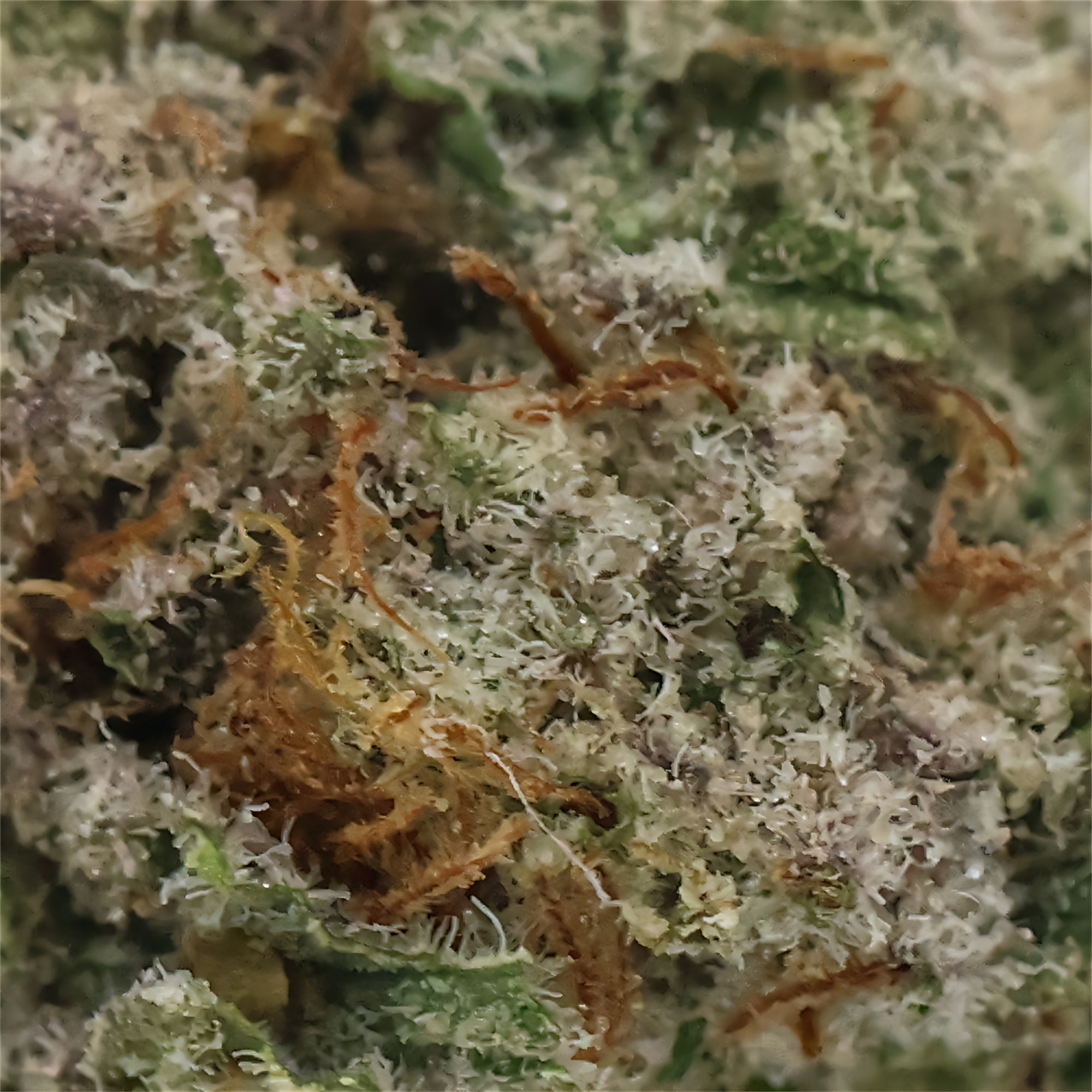 LuckyFarms-Mac1-04