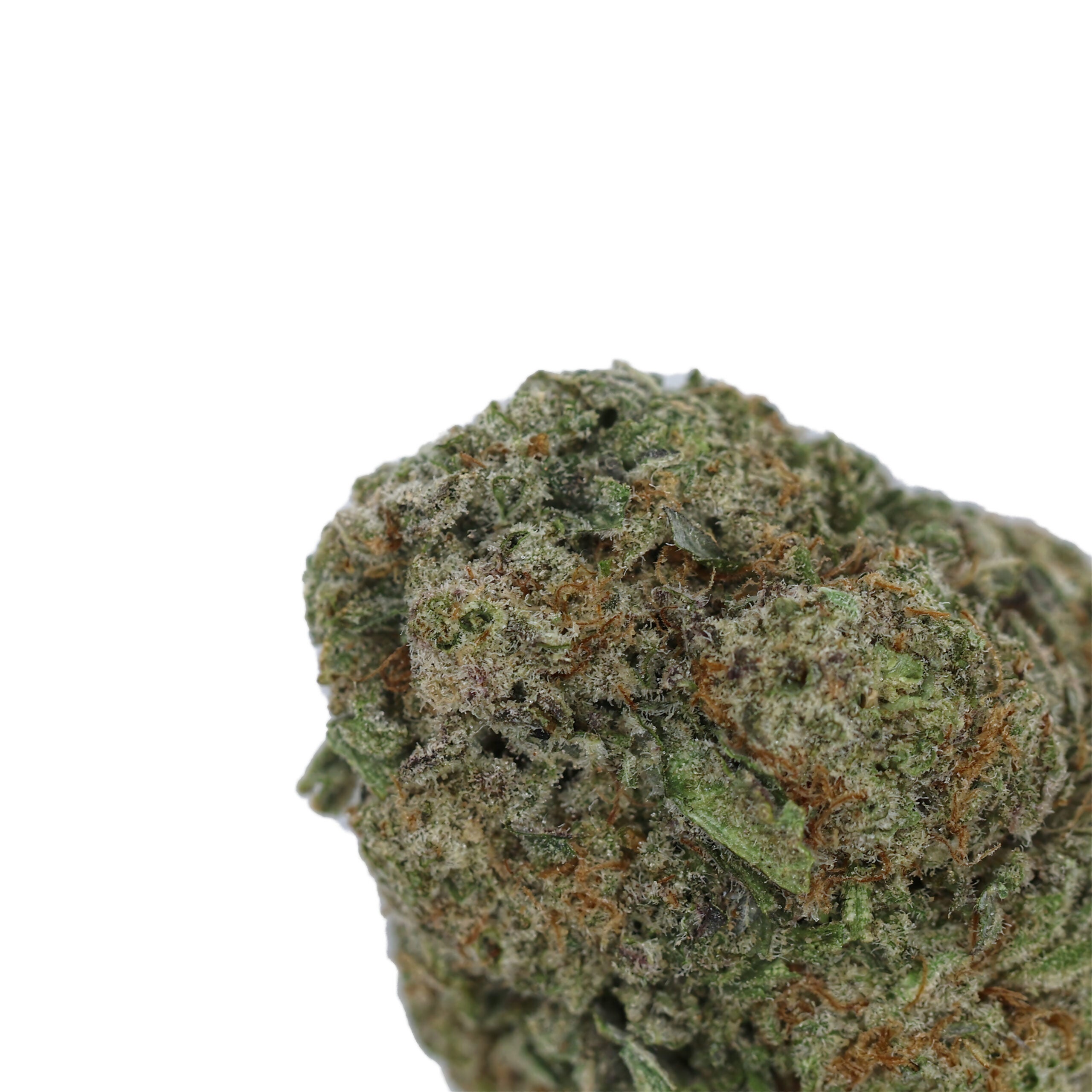 LuckyFarms-Mac1-2