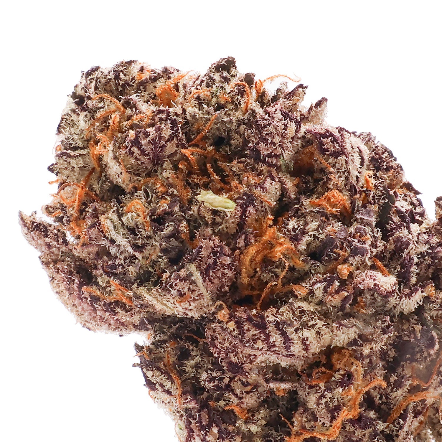 LuckyFarms-White-Truffle-04