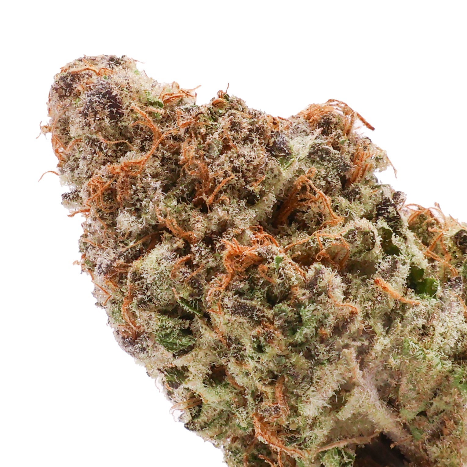 Cream-of-the-Crop-Strawberry-Milk-04