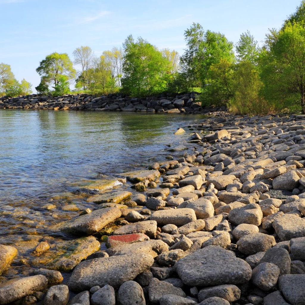 Lake Ontario Near Burlington