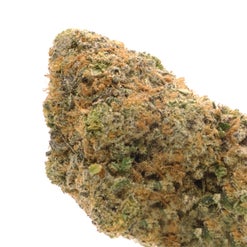 Tall, frosty Lucky Farms Wedding Cake cannabis bud
