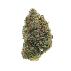 Close-up of a single Jungle Ridge Gas Line cannabis bud
