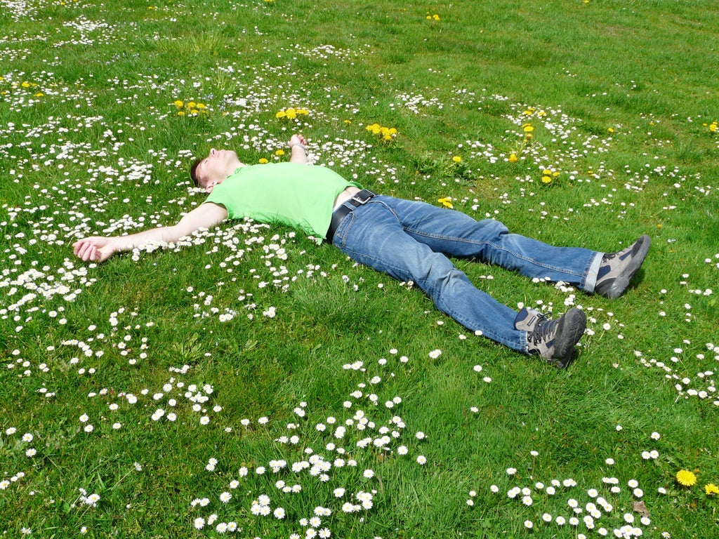 man sleeping on grass