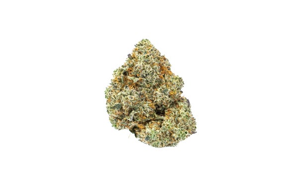 Elmer's Glue Strain