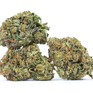 CBD Strains