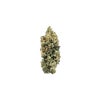 Doggy Style Strain