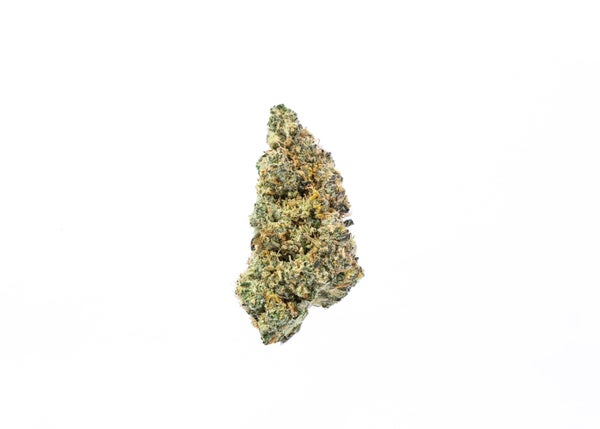 Snoops Dream Strain