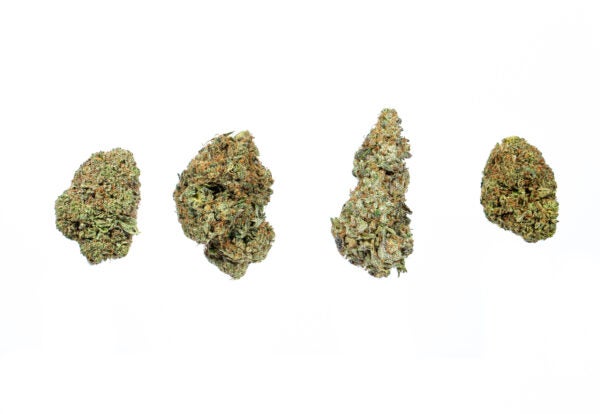 Mix and Match Budget Buds (AA, AAA+, AAAA)