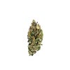 Afgooey Strain