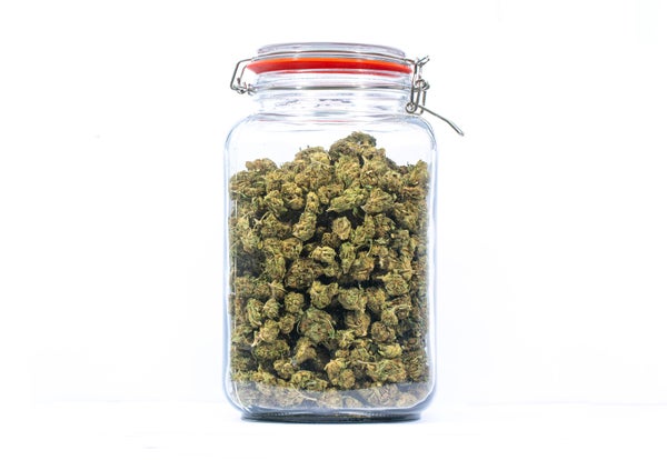 Assorted Budget Buds (AA)