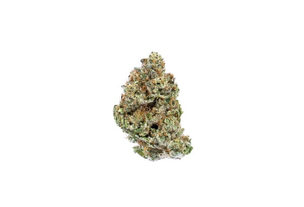 Money Maker Strain