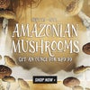 amazonian mushroom strain