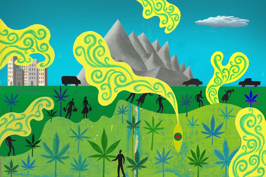 Cannabis Consumption