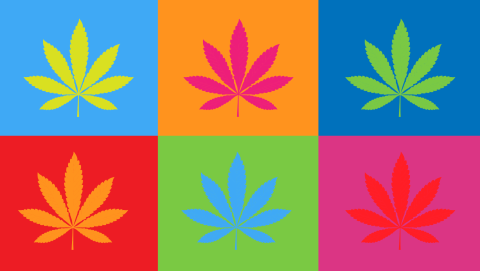 Cannabis and Creativity