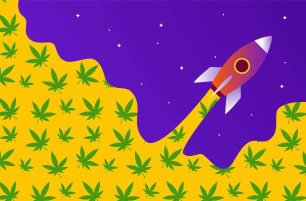 Endocannabinoid System