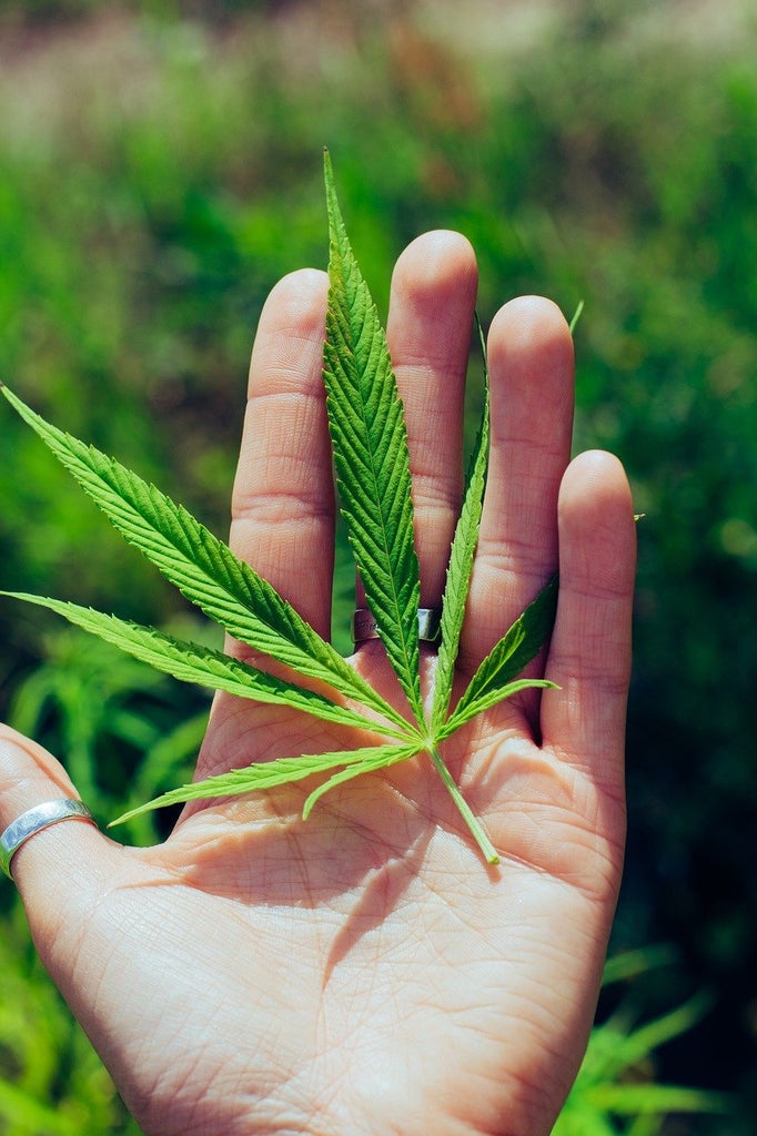 Indica vs Sativa