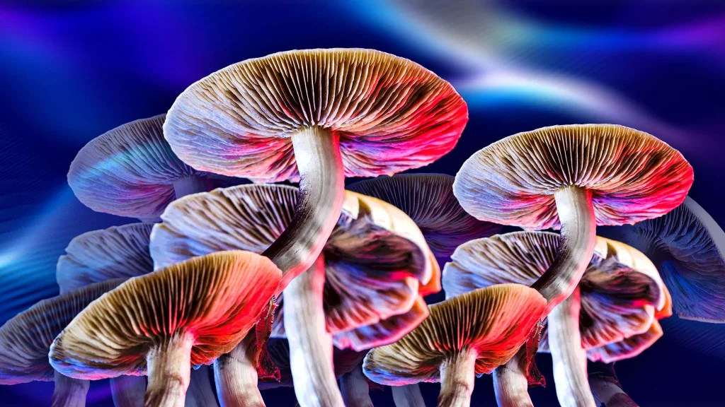 Magic Mushrooms