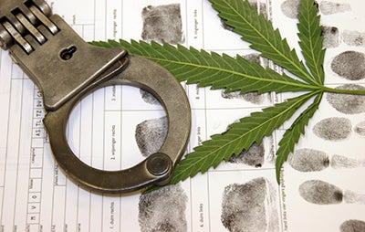 Cannabis Prohibition