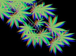 Cannabis and Spirituality