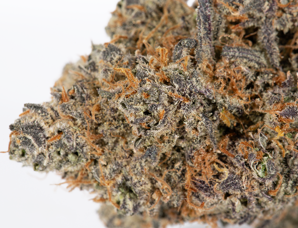 Grunk Panda Strain