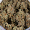 Grunk Panda Strain