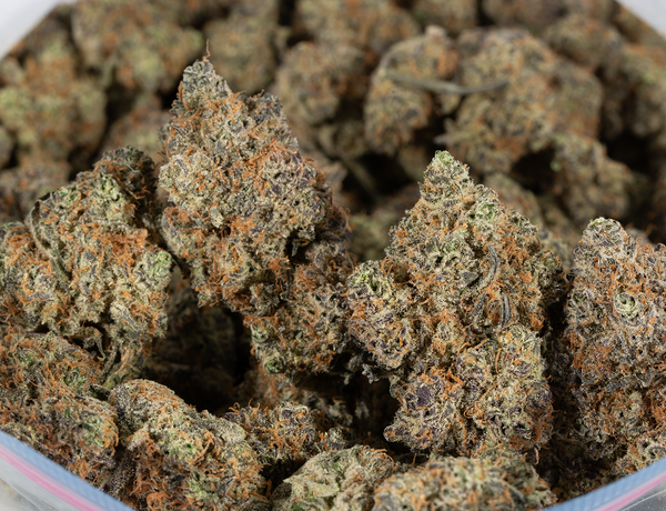 Grunk Panda Strain