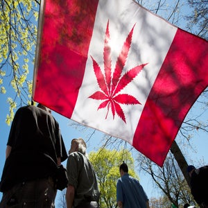 Queen's Park pot protest