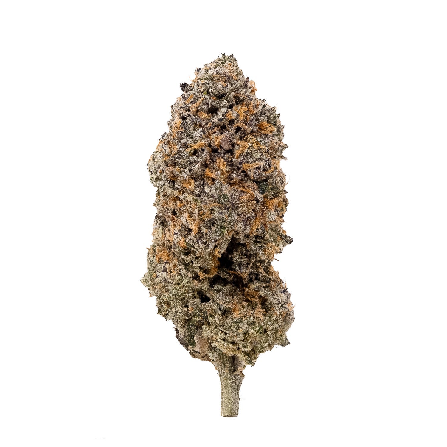 PeanutButterBreath-03