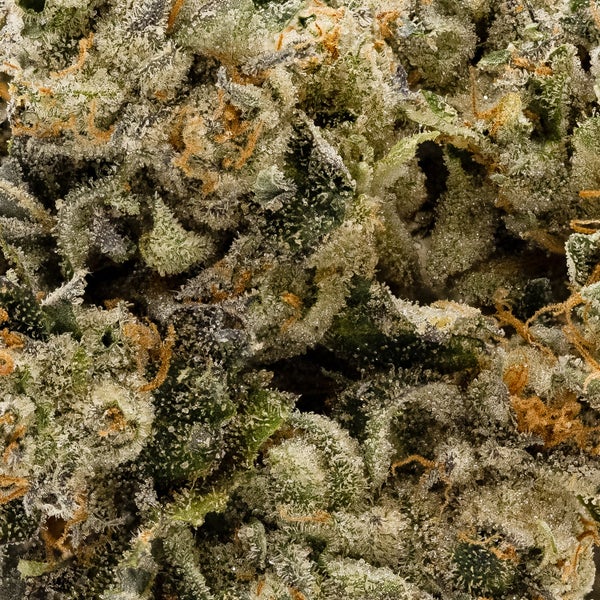 Hoot Cannabis - Rainbow Runtz