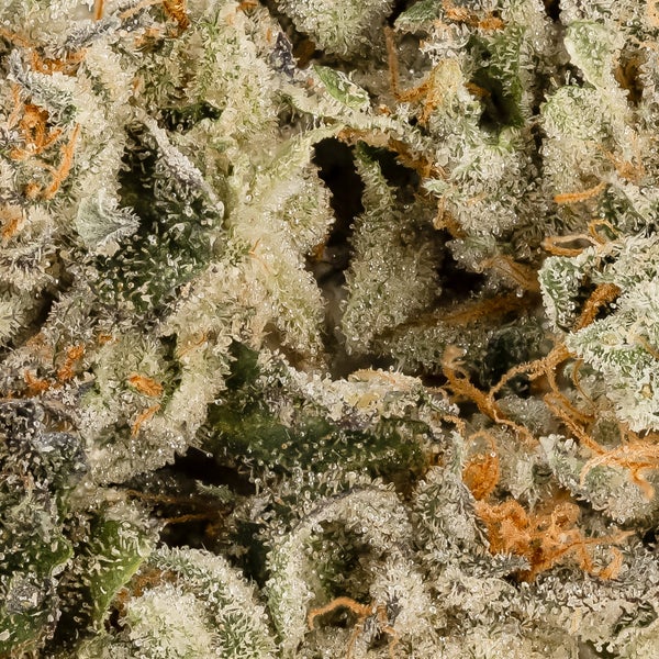 Hoot Cannabis - Rainbow Runtz