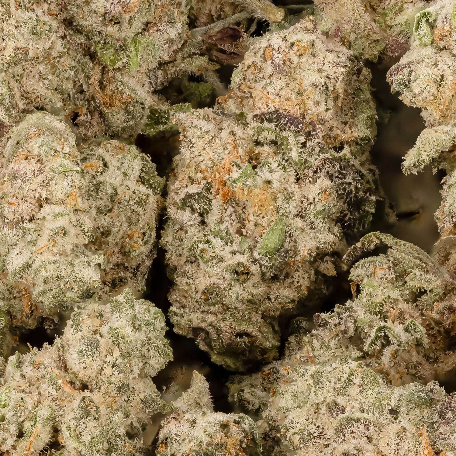 BananaCreamCakeSmalls-LuckyFarms-03