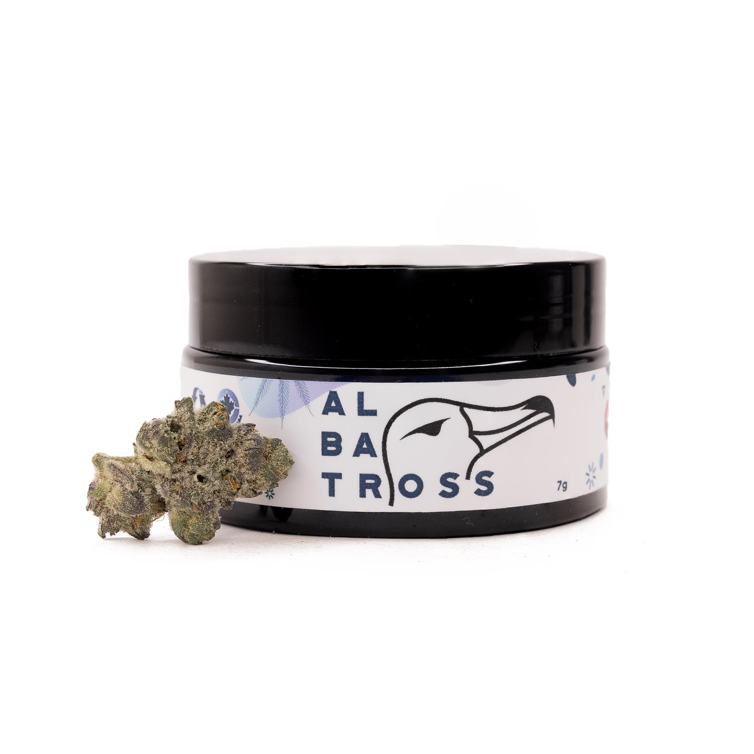 AnimalTsunamiHybrid-07