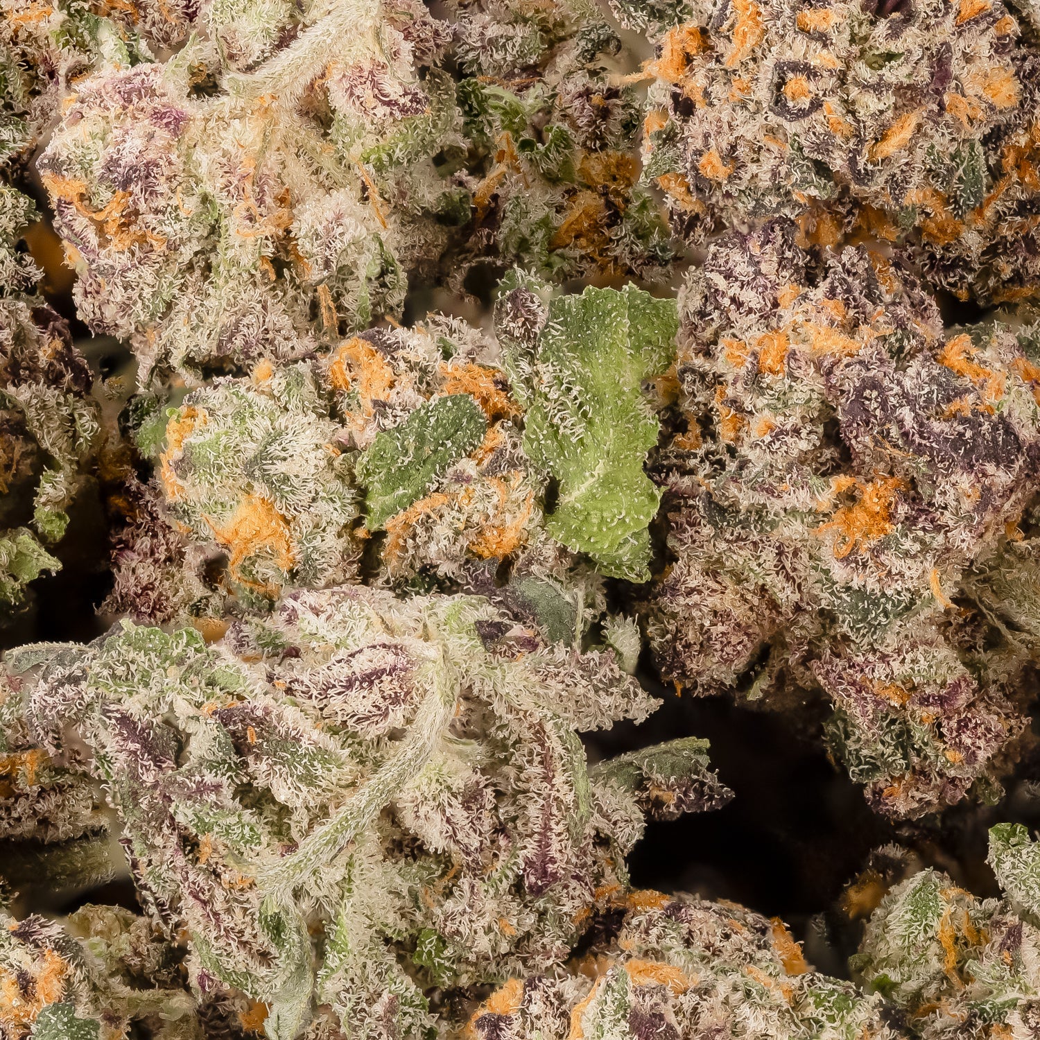 BubbleGumMarkerSmalls-LuckyFarms-03