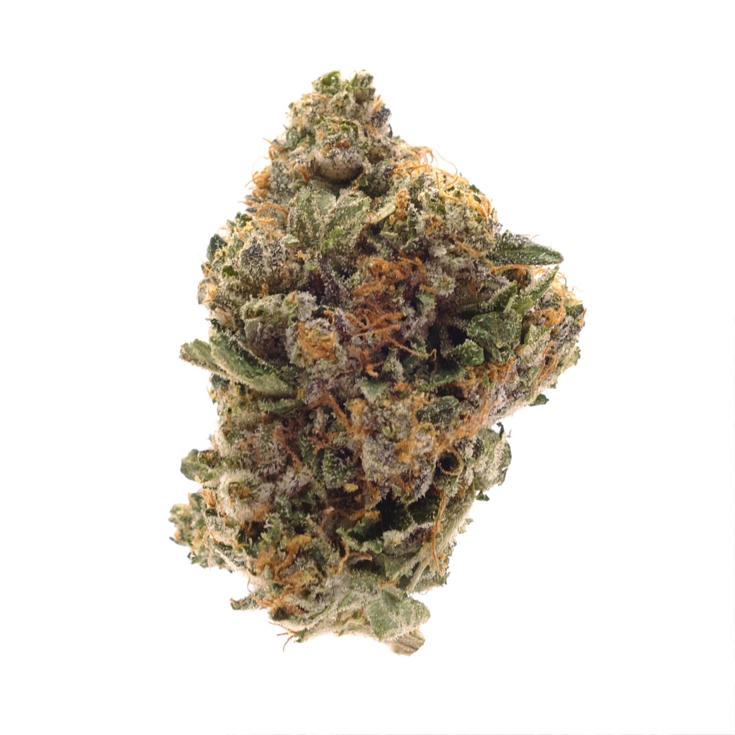 Flower Single tall dense Toast Bubba Kush bud, upright, purple-dark tones with orange hairs