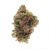 Single tall dense Toast Bubba Kush bud, upright, purple-dark tones with orange hairs