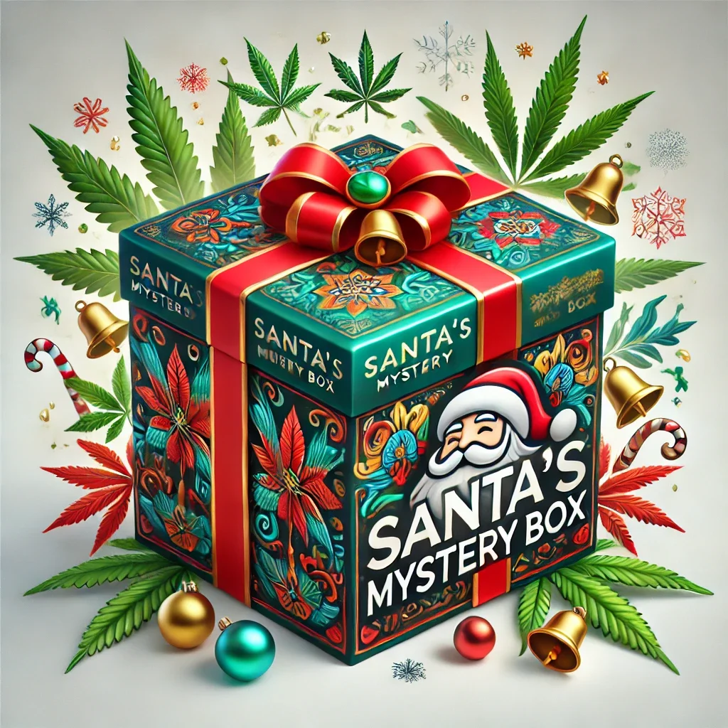 Santa's Mystery Box - Updated (3 Choices)