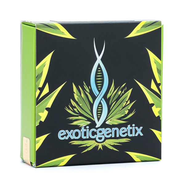 Exotic Genetix Regular Seeds