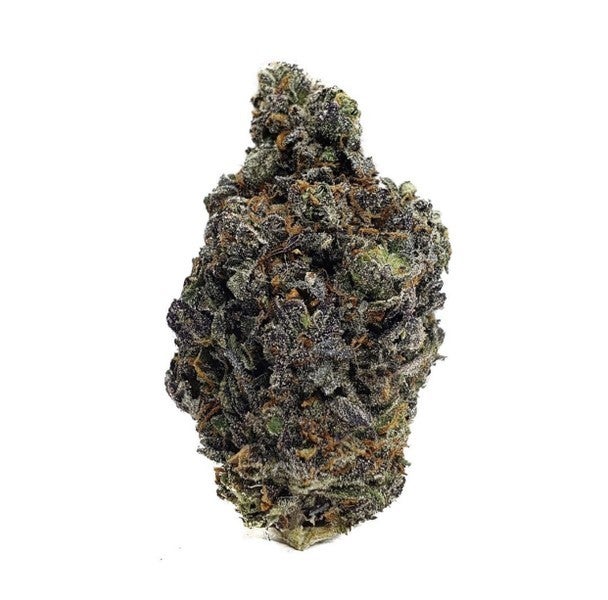 dark green bud with pale orange pistols