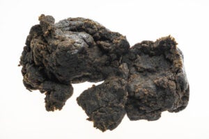 Charas Hashish, black coloured substance on a white background.