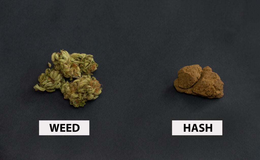 Hash vs Weed a comparison of the two products. A stash of weed is on the left and hash is on the right side.