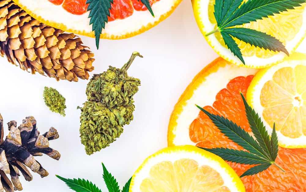 Cannabis Nug & tropical fruit to showcase terpenes and cannabis