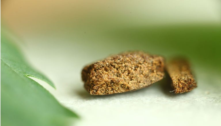 2 rectangular shaped hashish sit on a blurry background with leaves.