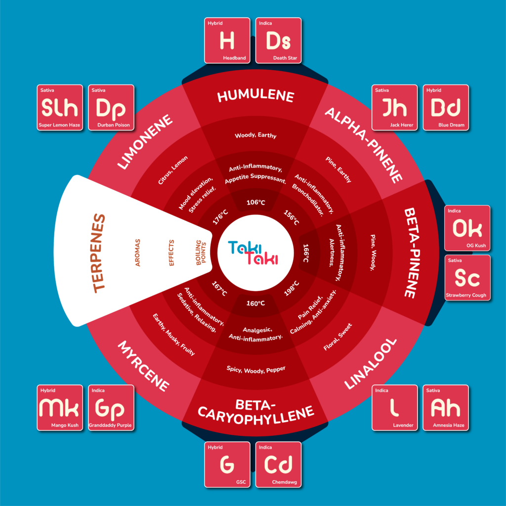 Terpene chart for TakiTaki. Include information on humulene, alpha-pinene, beta-pinene, linalool, beta-caryophyllene, and myrcene.