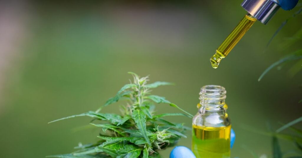 Cannabis Plant - drops - oil - bottle - strain - glaucoma treatment
