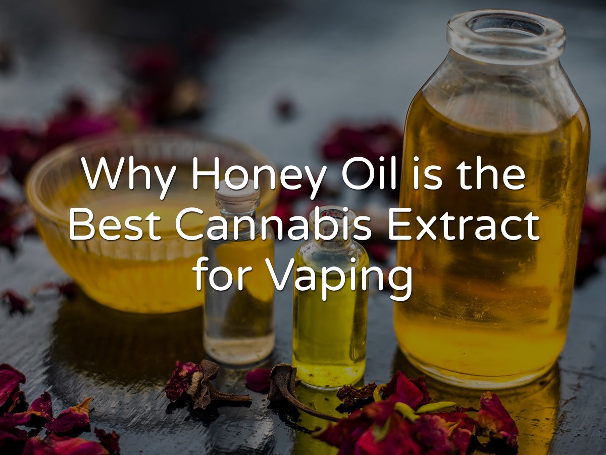 Why Honey Oil is the Best Cannabis Extract for Vaping