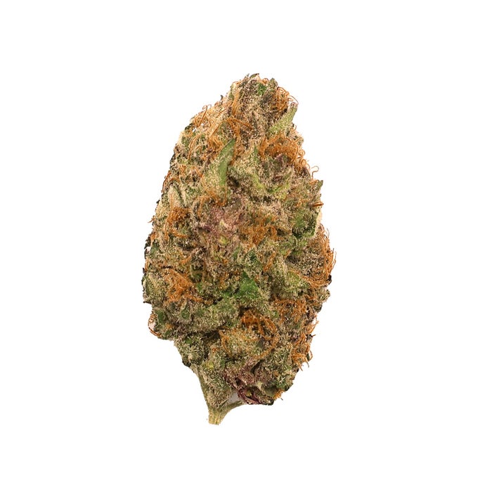 Jungle Ridge - Super Boof