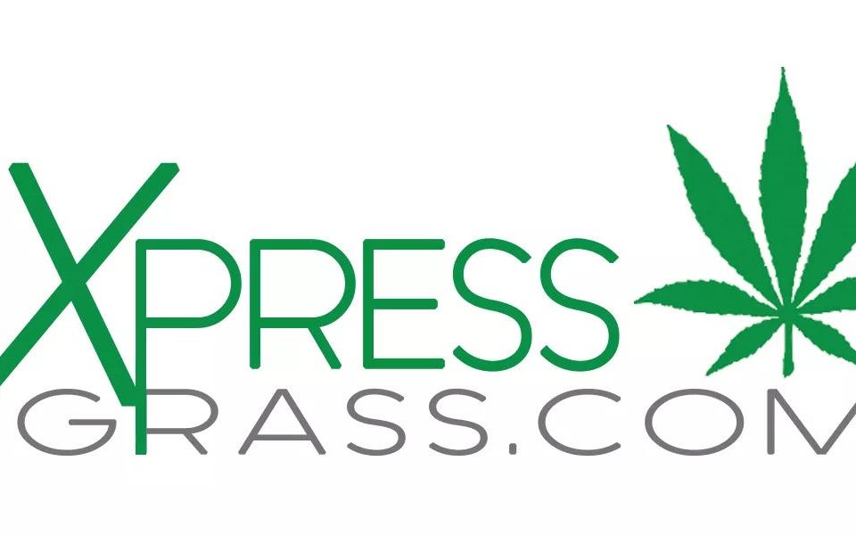 Xpress Grass on Google